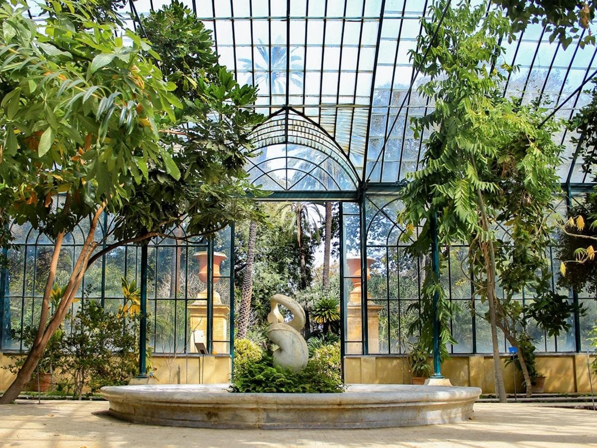 Orto Botanico di Palermo